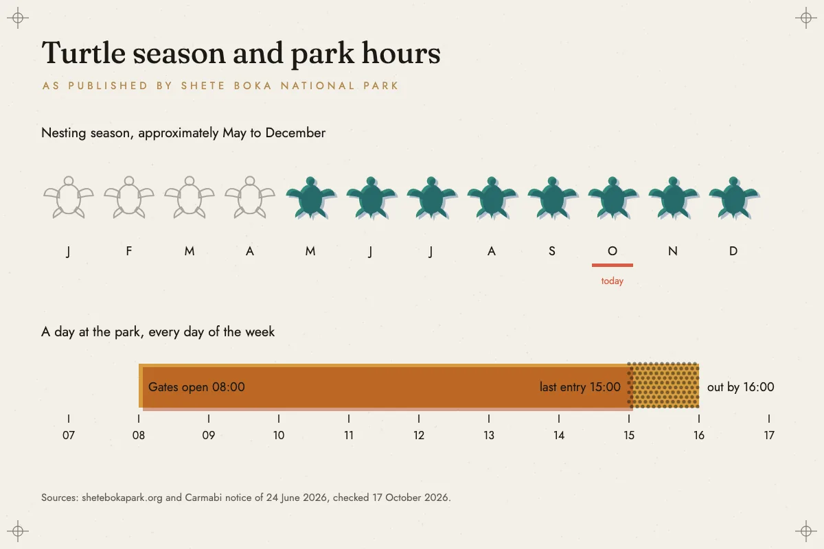 Chart titled Turtle season and park hours. A row of twelve turtle pictograms, one per month, is outlined for January to April and filled teal for May to December, with October marked as today. Below, a bar on an hour axis shows the park open from 08:00, last entry at 15:00 and everyone out by 16:00.